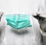 Фото: pixabay.com - 64 параллель онлайн
