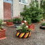 foto2_shiny - 64 параллель онлайн